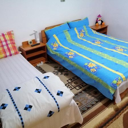 Rustic House Διαμέρισμα Turnu Măgurele Εξωτερικό φωτογραφία