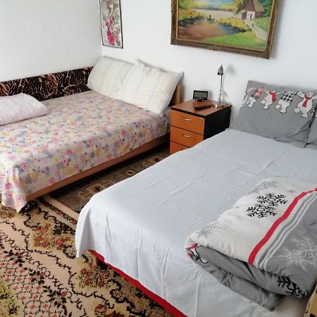 Rustic House Διαμέρισμα Turnu Măgurele Εξωτερικό φωτογραφία