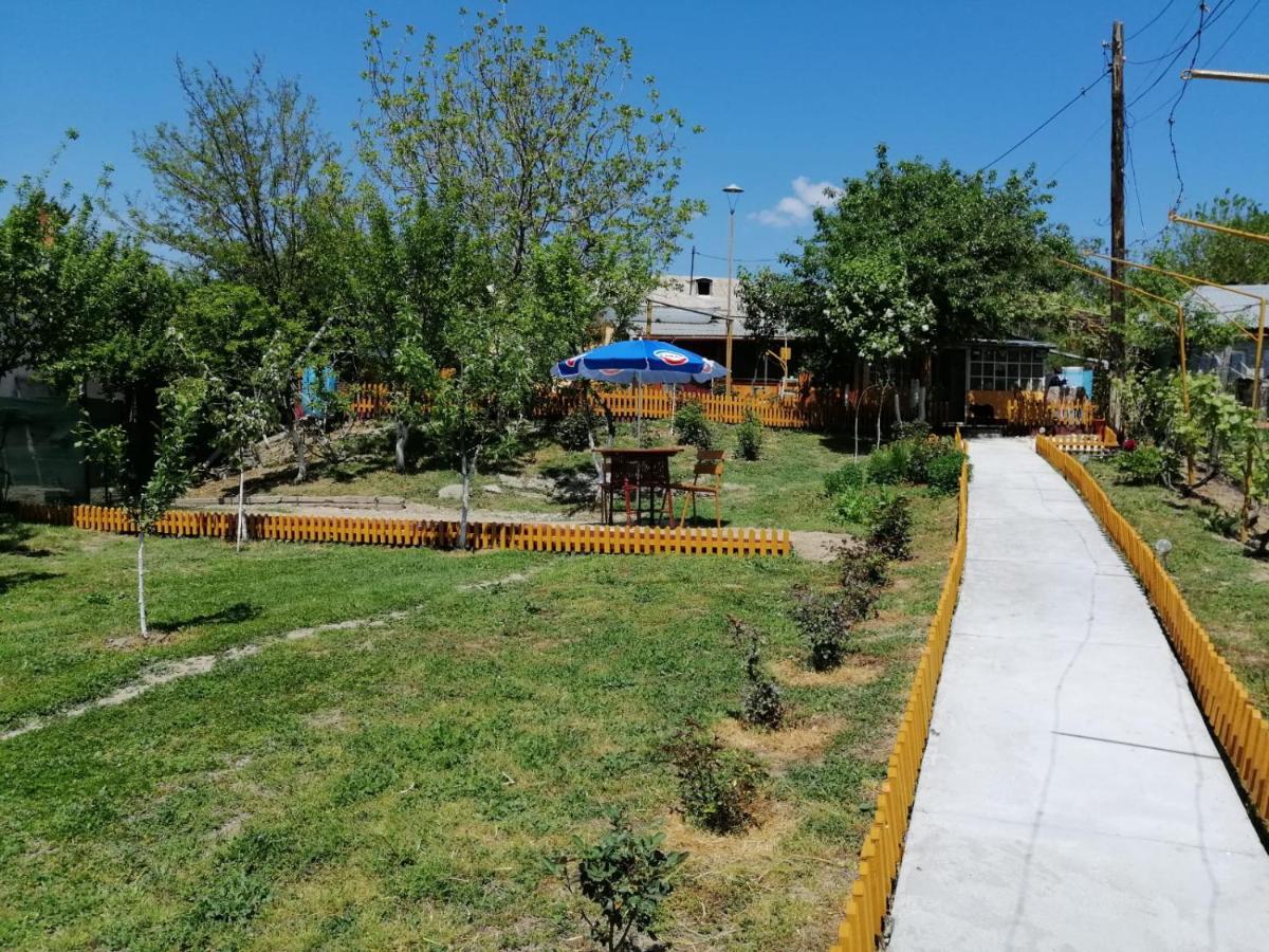 Rustic House Διαμέρισμα Turnu Măgurele Εξωτερικό φωτογραφία