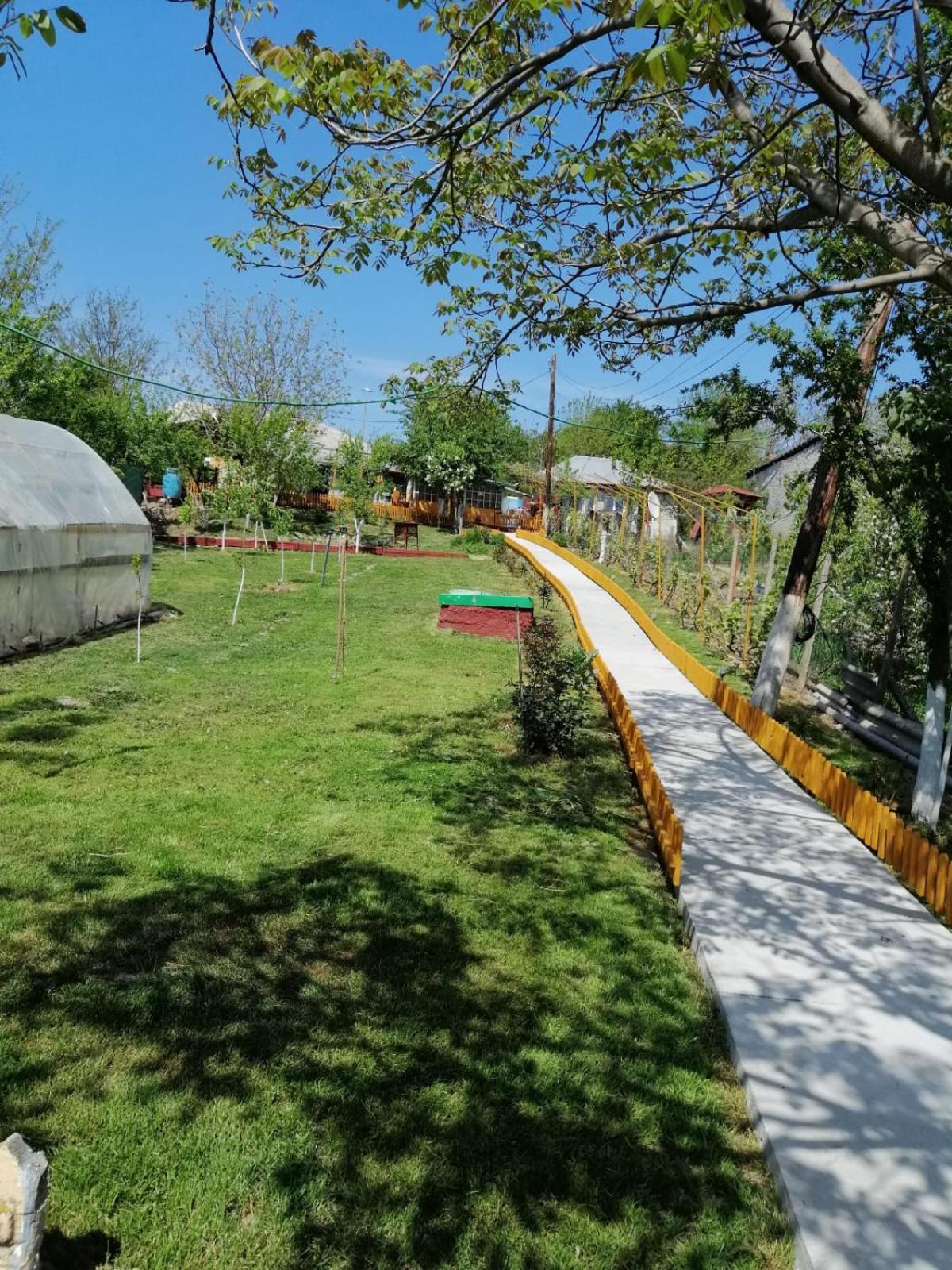 Rustic House Διαμέρισμα Turnu Măgurele Εξωτερικό φωτογραφία