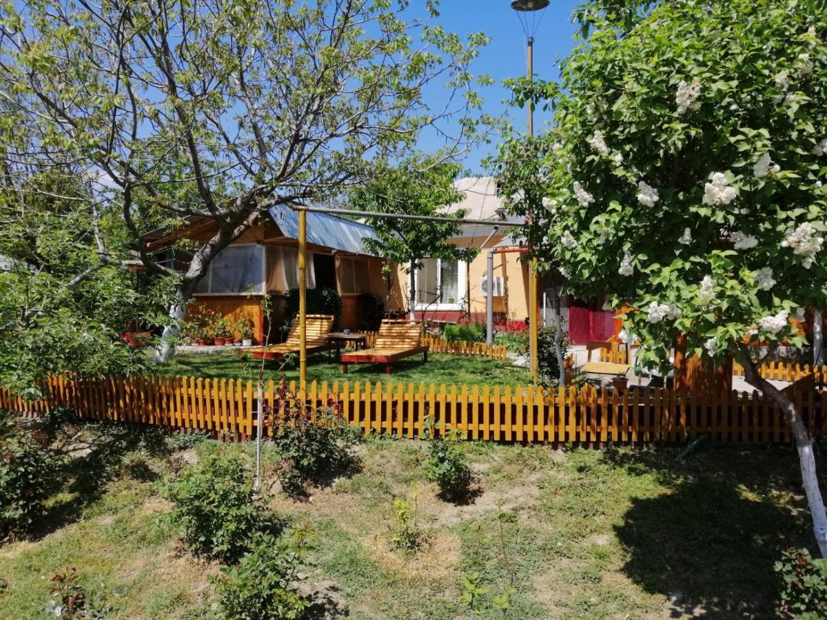 Rustic House Διαμέρισμα Turnu Măgurele Εξωτερικό φωτογραφία