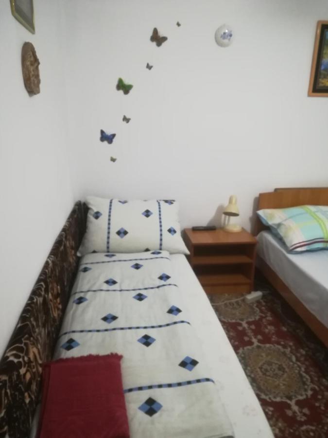 Rustic House Διαμέρισμα Turnu Măgurele Εξωτερικό φωτογραφία