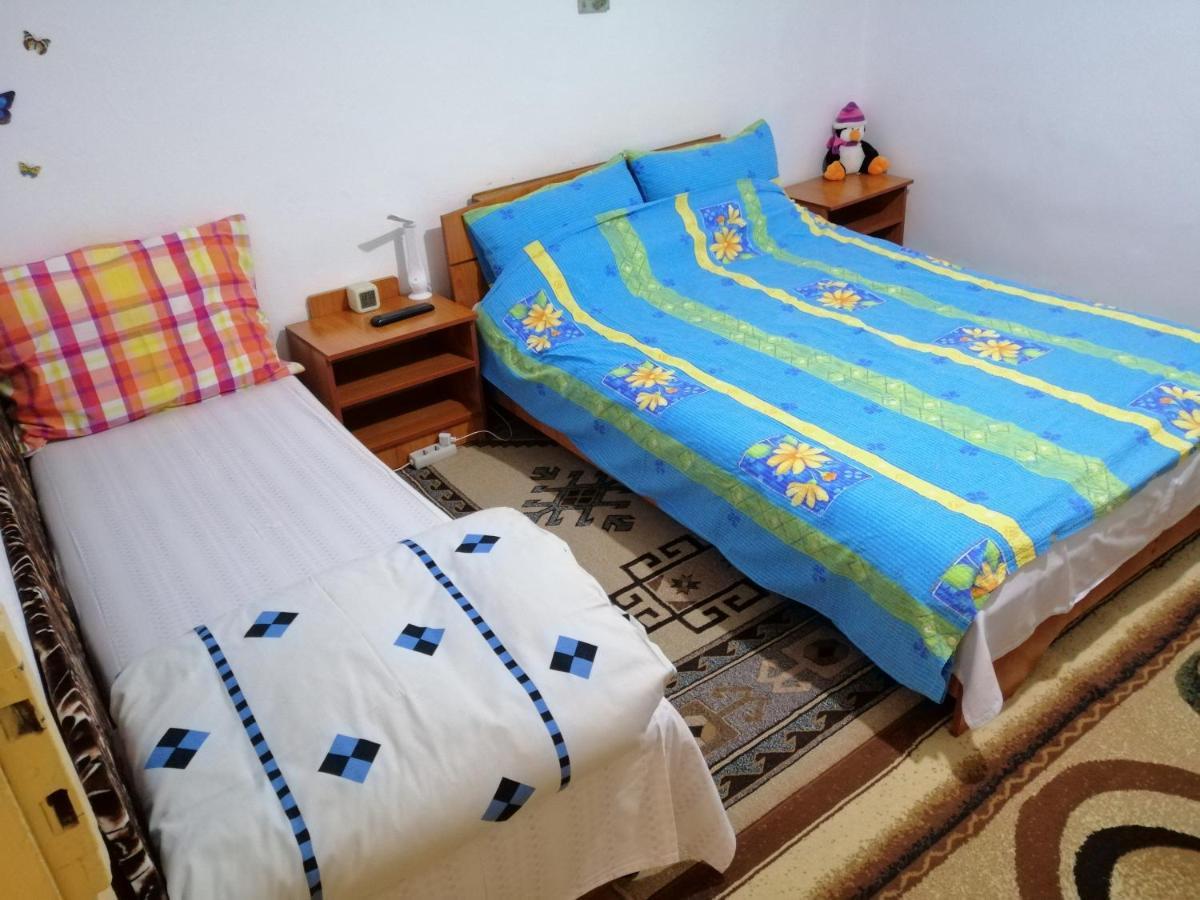 Rustic House Διαμέρισμα Turnu Măgurele Εξωτερικό φωτογραφία