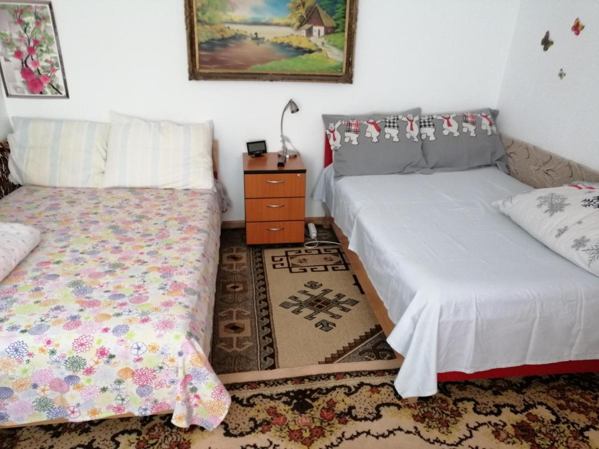 Rustic House Διαμέρισμα Turnu Măgurele Εξωτερικό φωτογραφία