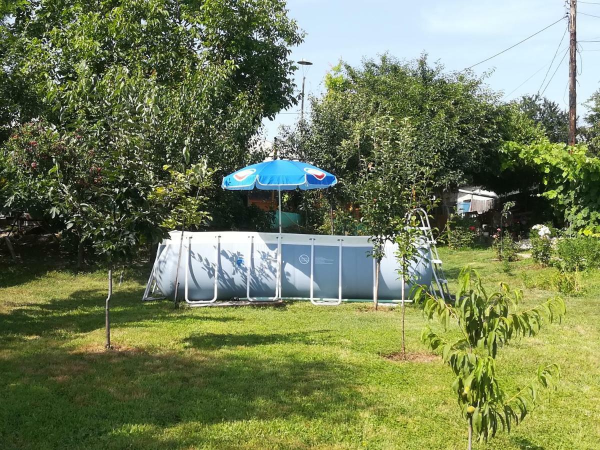 Rustic House Διαμέρισμα Turnu Măgurele Εξωτερικό φωτογραφία