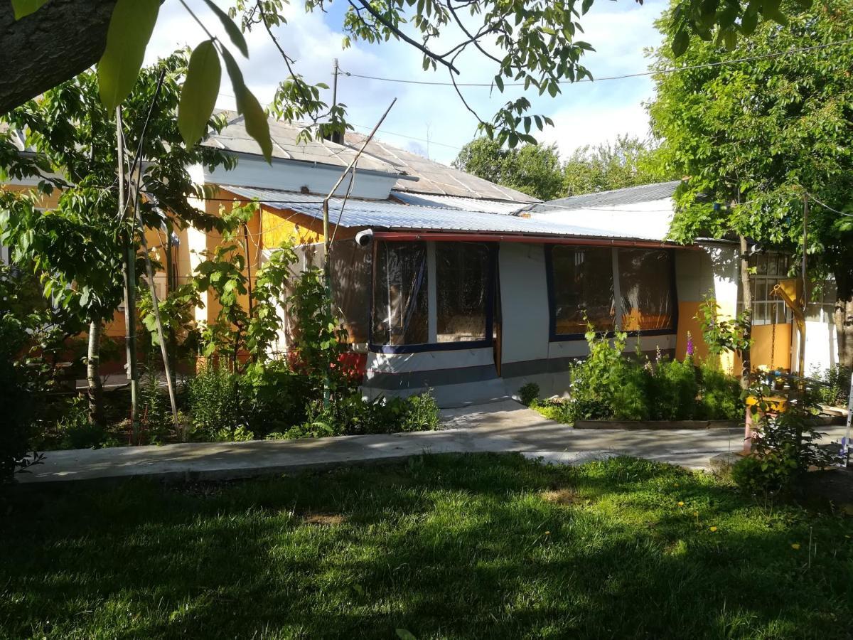 Rustic House Διαμέρισμα Turnu Măgurele Εξωτερικό φωτογραφία